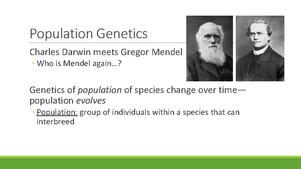 Population Genetics Charles Darwin meets Gregor Mendel ◦ Who is Mendel again…? Genetics of Population Genetics Charles Darwin meets Gregor Mendel ◦ Who is Mendel again…? Genetics of