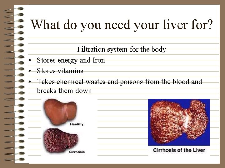 What do you need your liver for? Filtration system for the body • Stores