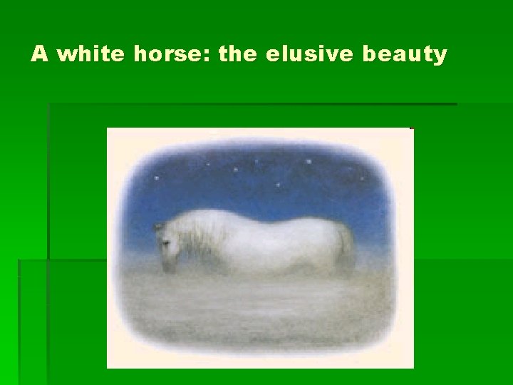 A white horse: the elusive beauty 