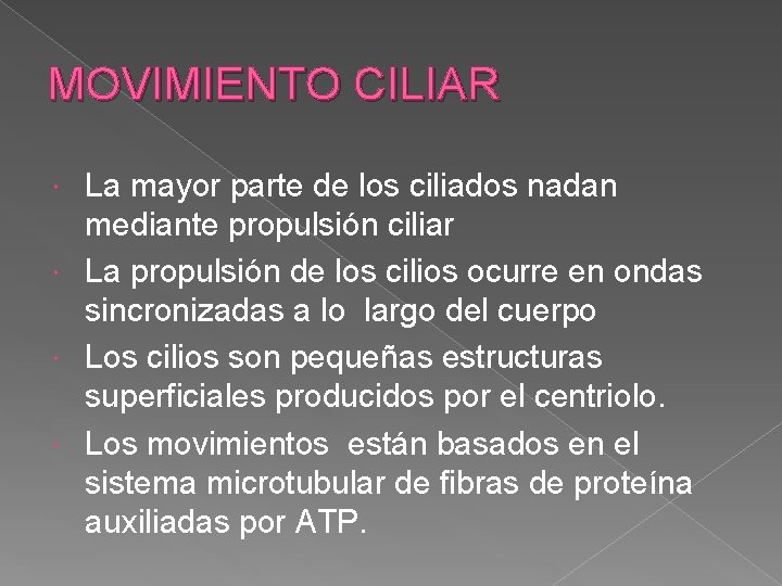 MOVIMIENTO CILIAR La mayor parte de los ciliados nadan mediante propulsión ciliar La propulsión