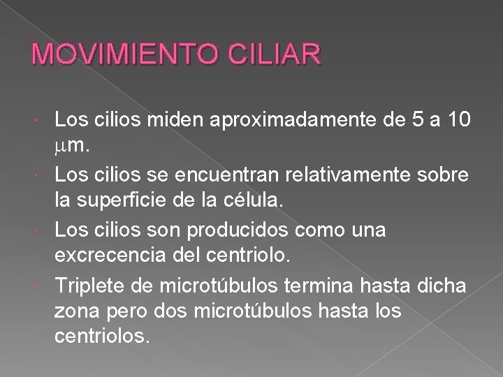 MOVIMIENTO CILIAR Los cilios miden aproximadamente de 5 a 10 m. Los cilios se