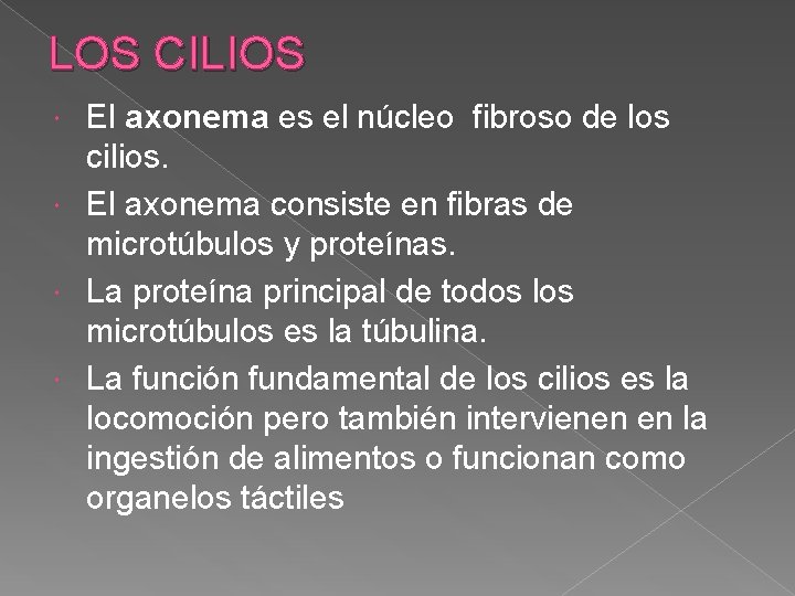 LOS CILIOS El axonema es el núcleo fibroso de los cilios. El axonema consiste