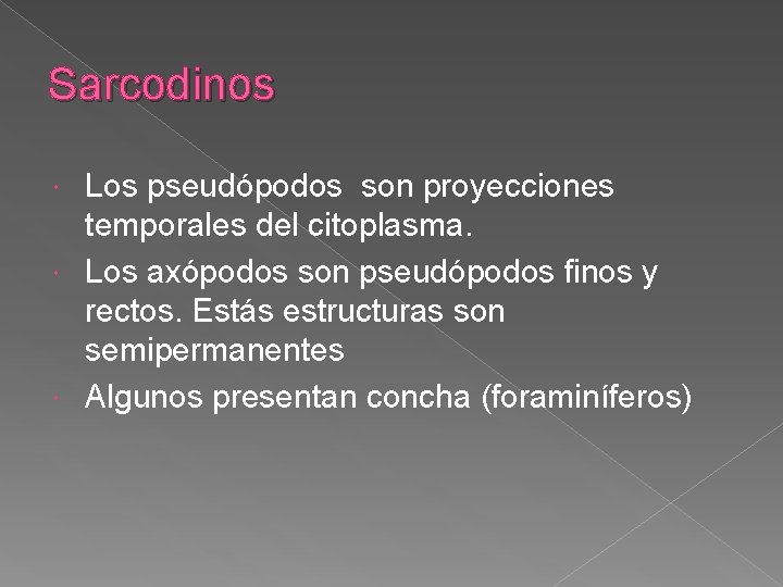 Sarcodinos Los pseudópodos son proyecciones temporales del citoplasma. Los axópodos son pseudópodos finos y