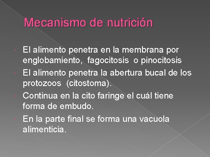 Mecanismo de nutrición El alimento penetra en la membrana por englobamiento, fagocitosis o pinocitosis