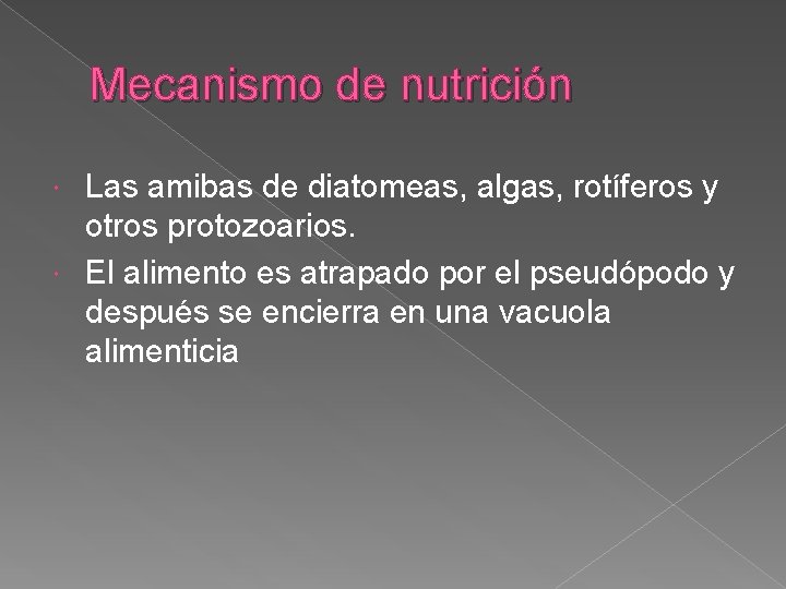 Mecanismo de nutrición Las amibas de diatomeas, algas, rotíferos y otros protozoarios. El alimento