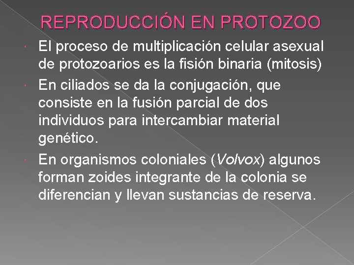 REPRODUCCIÓN EN PROTOZOO El proceso de multiplicación celular asexual de protozoarios es la fisión