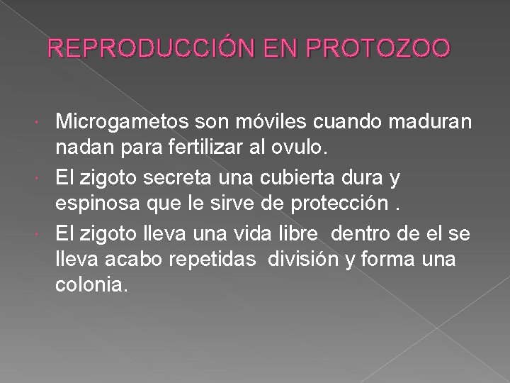 REPRODUCCIÓN EN PROTOZOO Microgametos son móviles cuando maduran nadan para fertilizar al ovulo. El