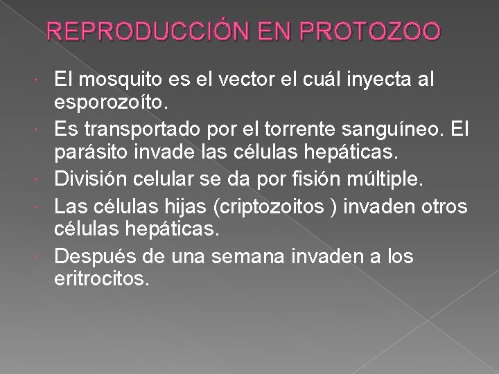 REPRODUCCIÓN EN PROTOZOO El mosquito es el vector el cuál inyecta al esporozoíto. Es