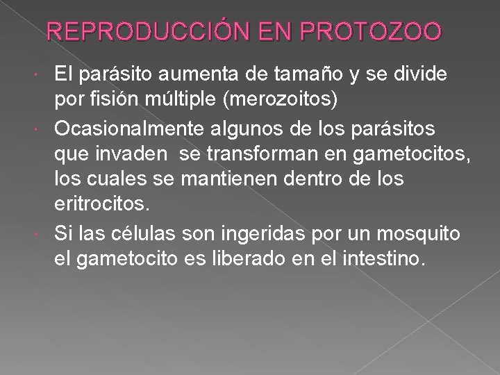 REPRODUCCIÓN EN PROTOZOO El parásito aumenta de tamaño y se divide por fisión múltiple