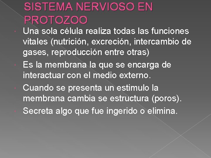 SISTEMA NERVIOSO EN PROTOZOO Una sola célula realiza todas las funciones vitales (nutrición, excreción,
