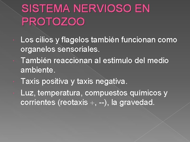 SISTEMA NERVIOSO EN PROTOZOO Los cilios y flagelos también funcionan como organelos sensoriales. También