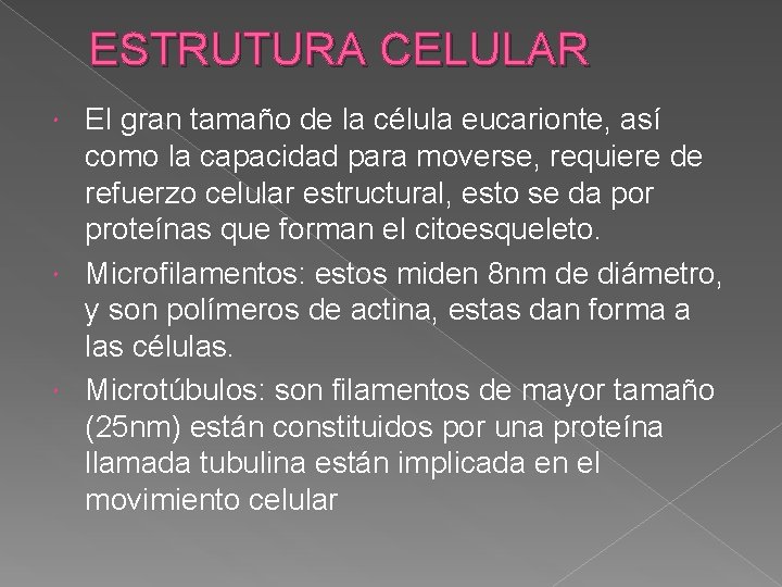 ESTRUTURA CELULAR El gran tamaño de la célula eucarionte, así como la capacidad para