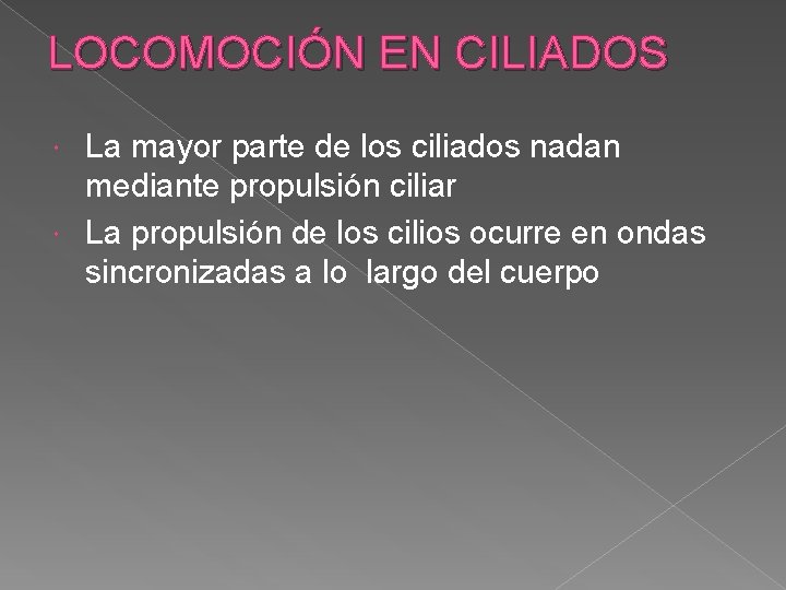 LOCOMOCIÓN EN CILIADOS La mayor parte de los ciliados nadan mediante propulsión ciliar La
