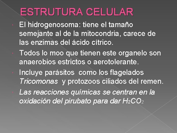 ESTRUTURA CELULAR El hidrogenosoma: tiene el tamaño semejante al de la mitocondria, carece de