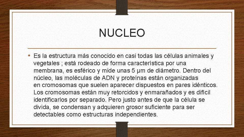 NUCLEO • Es la estructura más conocido en casi todas las células animales y