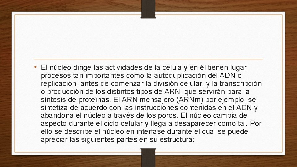  • El núcleo dirige las actividades de la célula y en él tienen