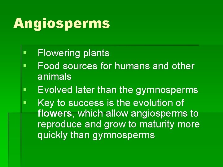 Angiosperms § Flowering plants § Food sources for humans and other animals § Evolved