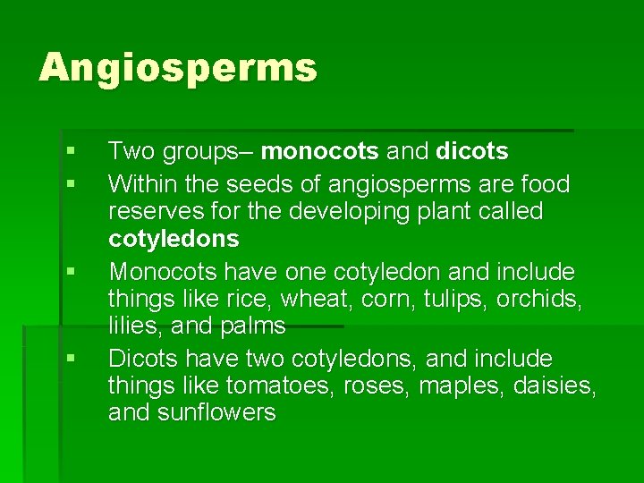 Angiosperms § § Two groups– monocots and dicots Within the seeds of angiosperms are