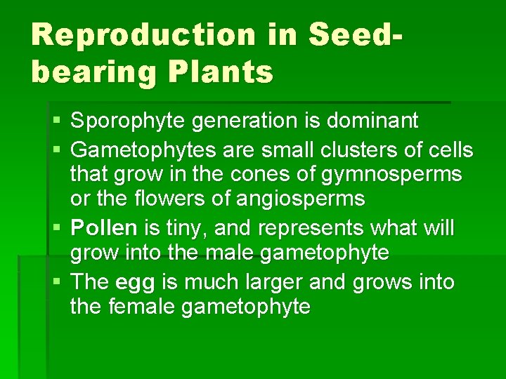 Reproduction in Seedbearing Plants § Sporophyte generation is dominant § Gametophytes are small clusters
