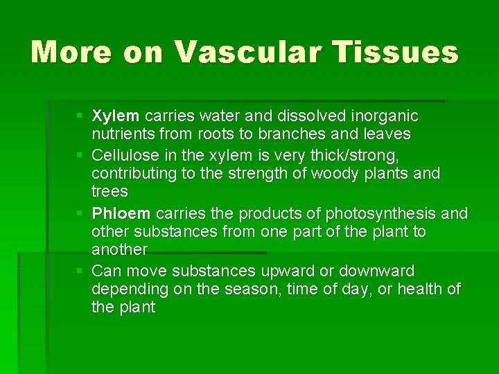 More on Vascular Tissues § Xylem carries water and dissolved inorganic nutrients from roots
