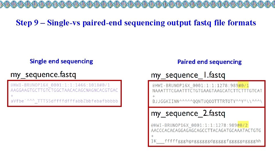 Step 9 – Single-vs paired-end sequencing output fastq file formats Single end sequencing Paired