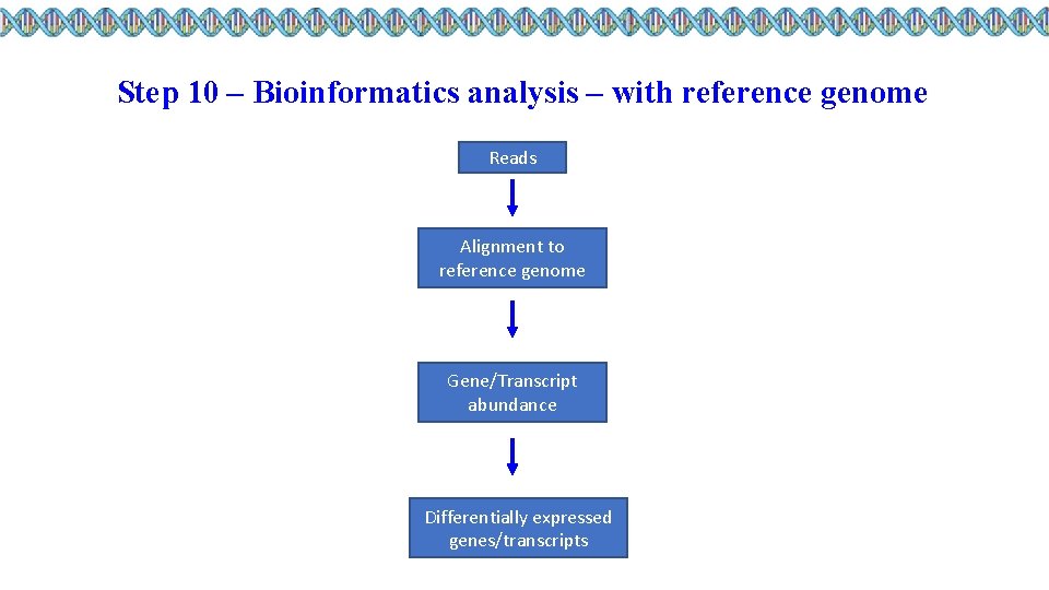 Step 10 – Bioinformatics analysis – with reference genome Reads Alignment to reference genome