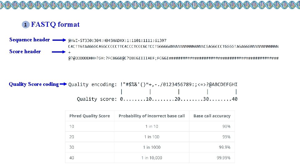 1 FASTQ format Sequence header Score header Quality Score coding 