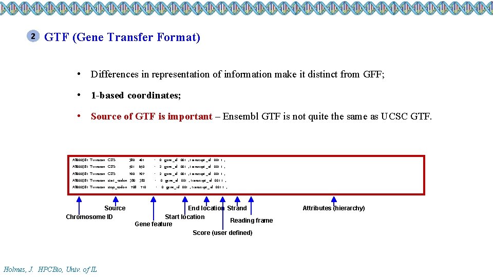 2 GTF (Gene Transfer Format) • Differences in representation of information make it distinct