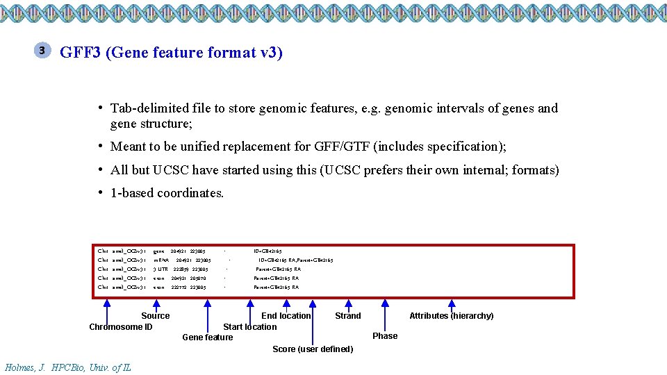 3 GFF 3 (Gene feature format v 3) • Tab-delimited file to store genomic