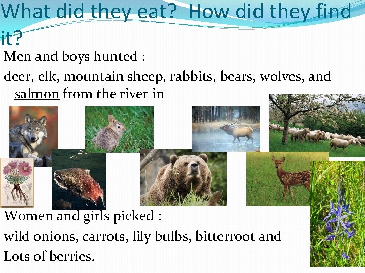 What did they eat? How did they find it? Men and boys hunted :