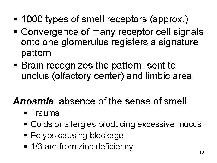 § 1000 types of smell receptors (approx. ) § Convergence of many receptor cell