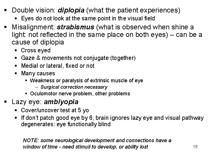 § Double vision: diplopia (what the patient experiences) § Eyes do not look at
