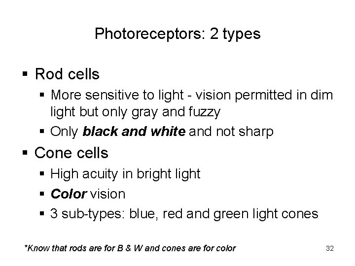 Photoreceptors: 2 types § Rod cells § More sensitive to light - vision permitted