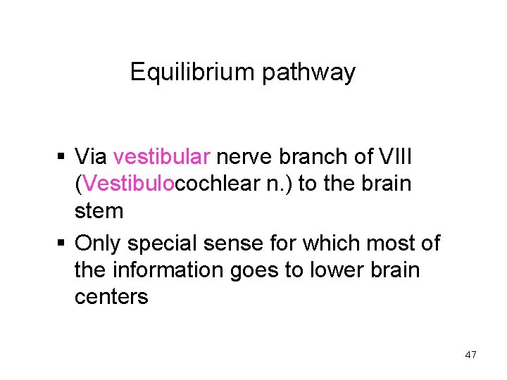 Equilibrium pathway § Via vestibular nerve branch of VIII (Vestibulocochlear n. ) to the