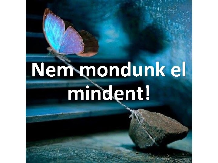 Nem mondunk el mindent! 