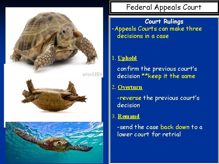 Federal Appeals Court Rulings -Appeals Courts can make three decisions in a case 1.