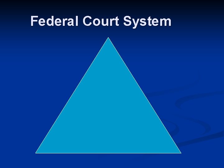 Federal Court System 