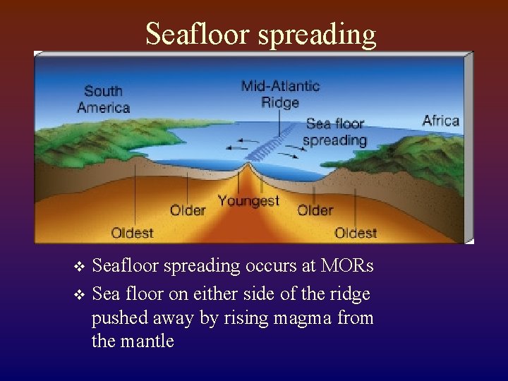 Seafloor spreading occurs at MORs v Sea floor on either side of the ridge