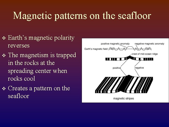 Magnetic patterns on the seafloor Earth’s magnetic polarity reverses v The magnetism is trapped