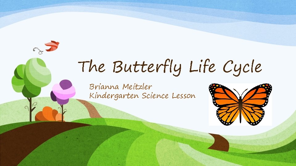 The Butterfly Life Cycle Brianna Meitzler Kindergarten Science Lesson 