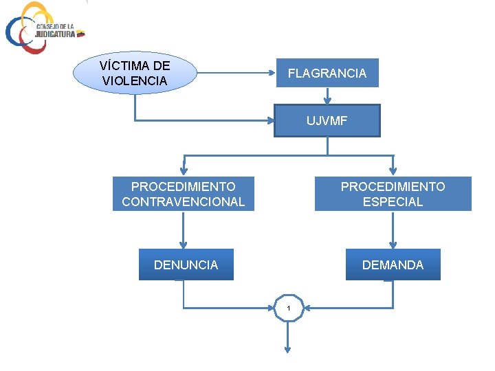 VÍCTIMA DE VIOLENCIA FLAGRANCIA UJVMF PROCEDIMIENTO CONTRAVENCIONAL PROCEDIMIENTO ESPECIAL DENUNCIA DEMANDA 1 