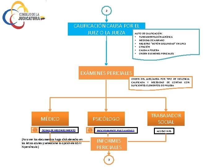 2 CALIFICACIÓN CAUSA POR EL JUEZ O LA JUEZA AUTO DE CALIFICACIÓN: • •