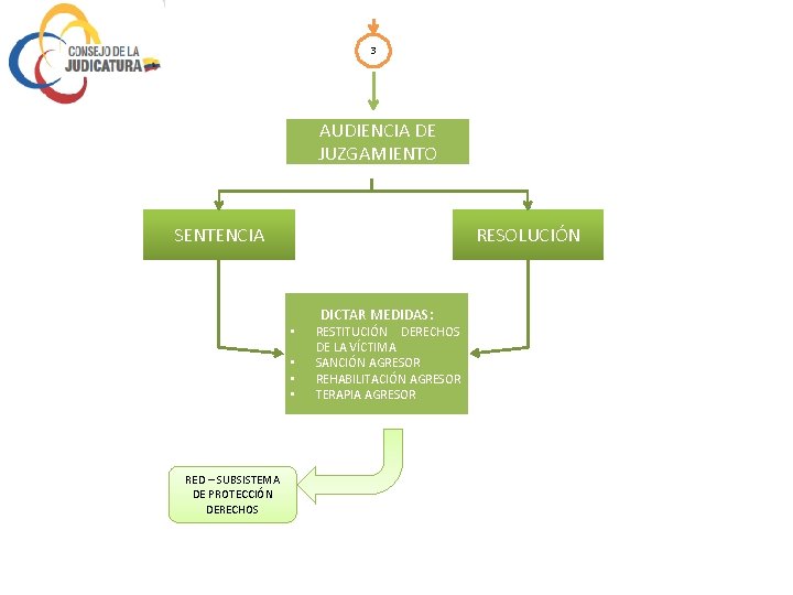 3 AUDIENCIA DE JUZGAMIENTO SENTENCIA RESOLUCIÓN • • RED – SUBSISTEMA DE PROTECCIÓN DERECHOS