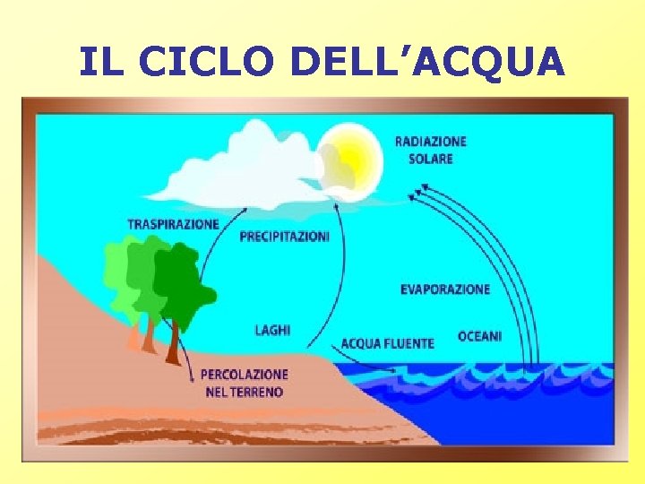 IL CICLO DELL’ACQUA IL CICLO DELL’ACQUA