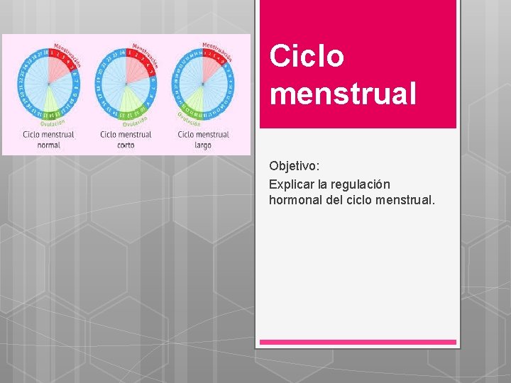 Ciclo menstrual Objetivo: Explicar la regulación hormonal del ciclo menstrual. 