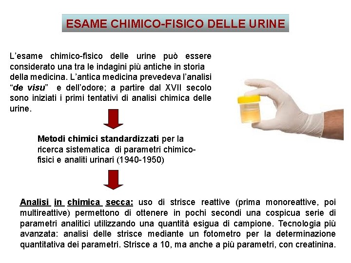 ESAME CHIMICO-FISICO DELLE URINE L’esame chimico-fisico delle urine può essere considerato una tra le