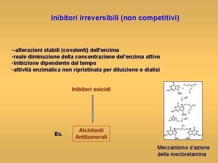 Inibitori irreversibili (non competitivi) • -alterazioni stabili (covalenti) dell’enzima • reale diminuzione della concentrazione