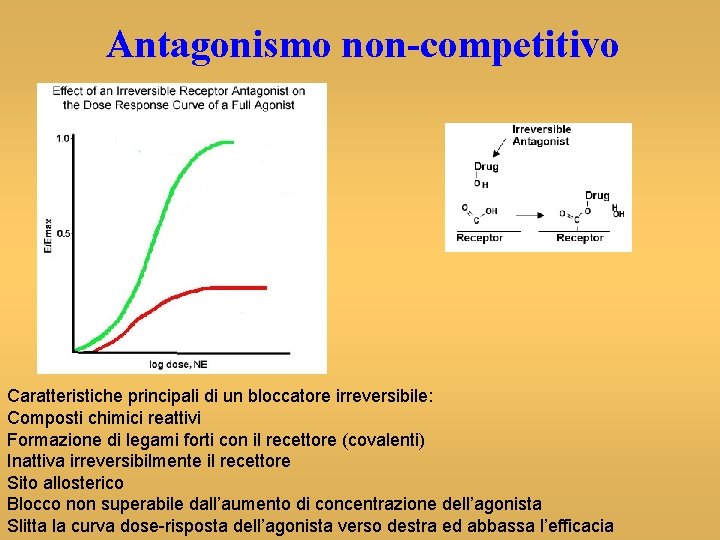 Antagonismo non-competitivo Caratteristiche principali di un bloccatore irreversibile: Composti chimici reattivi Formazione di legami