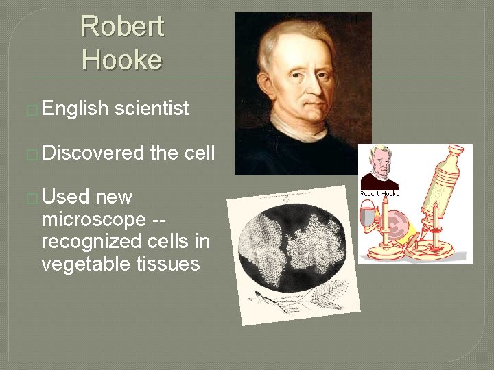 Robert Hooke � English scientist � Discovered � Used the cell new microscope -recognized