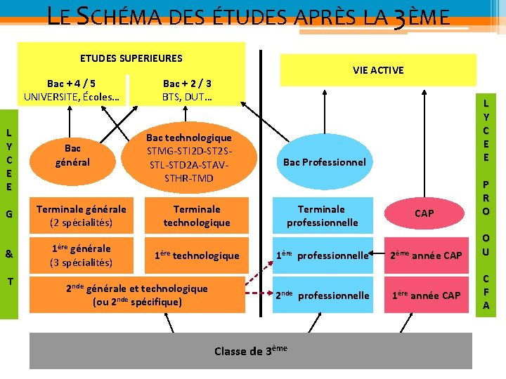 LE SCHÉMA DES ÉTUDES APRÈS LA 3ÈME ETUDES SUPERIEURES L Y C E E
